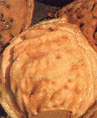 1Aprikose.jpg (29729 Byte)