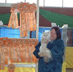 Iljinka Dikaya Krassa, Neva Masquarade