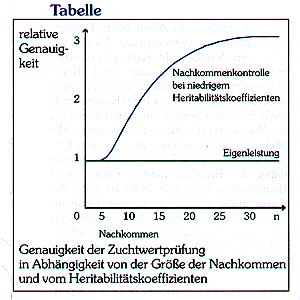 Nachkommen.jpg (34158 Byte)