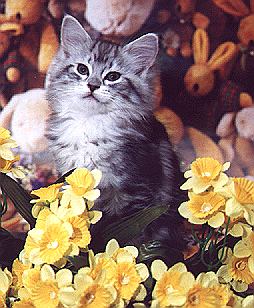 Uhura9.jpg (42530 Byte)