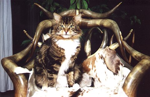 Wakendorf2.jpg (42756 Byte)